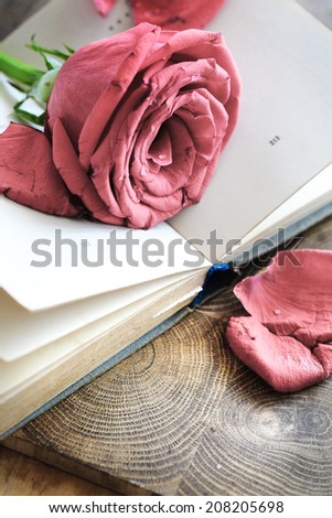 Soft natural light falling onto a rose with a books. Romantic nostalgic background with rose