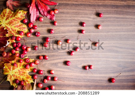Autumn background/ Autumn leaves and berry over wooden background/ Thanksgiving day concept