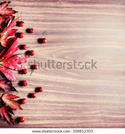 Autumn background/ Autumn leaves and berry over wooden background/ Thanksgiving day concept