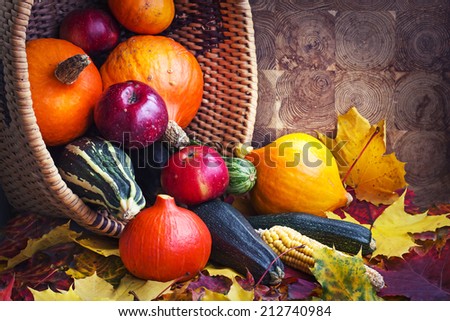 Autumn concept with seasonal fruits and vegetables/organic food background; Autumn harvest with Farmers Vegetable fruits on dark wooden background/ Thanksgiving day concept