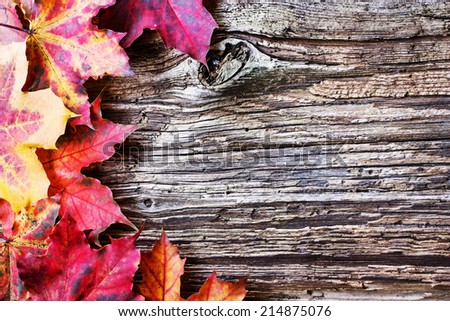 Vintage Autumn border from  leaves on old wooden table/ Thanksgiving day concept