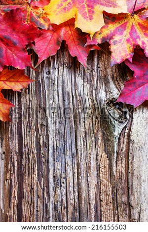 Vintage Autumn border from leaves on old wooden table/ Thanksgiving day concept