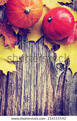 Autumn background with Pumpkins and autumn leaves/ thanksgiving background