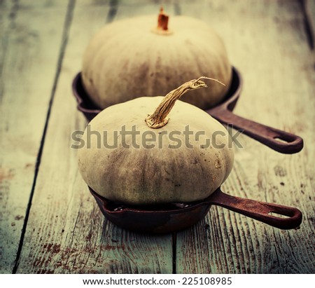 Autumn nature concept. Fall pumpkins  on wooden rustic table. Thanksgiving dinner