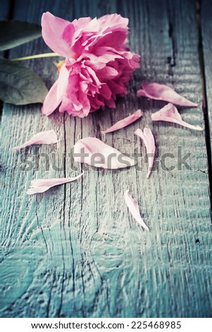 Romantic floral frame background/ Valentines day background/Pink peony on wooden background