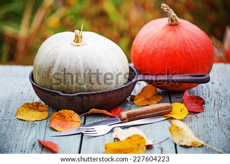 Autumn nature concept. Fall pumpkins and apples on wooden rustic table. Thanksgiving dinner