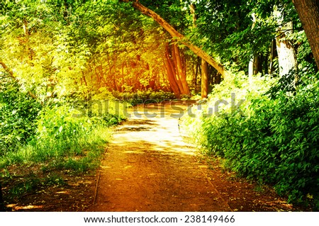 Spring nature background with sun beam / green landscape with sunshine/ Sunny forest early in the morning, filter