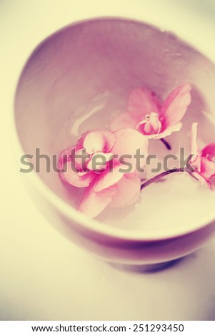 Spa background with flowers and water in vintage colors