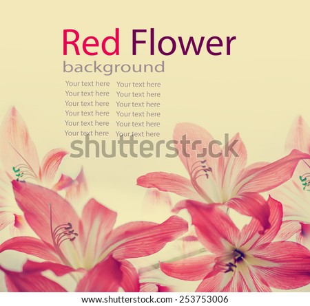 Flower background with lily flower in vintage color/ Beautiful flower background/ Spring background