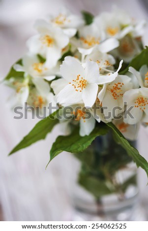 Jasmine flowers on  wooden background. toning. selective focus on the middle jasmine flower.