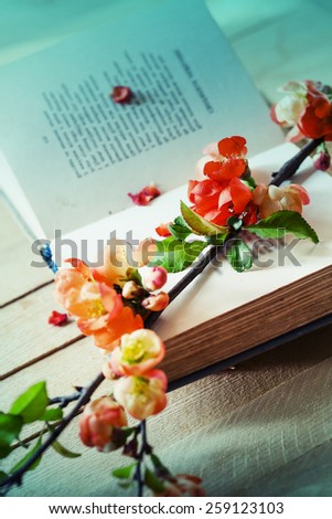 Spring Blossom over wood background. Spring Flowers with book on wooden background
