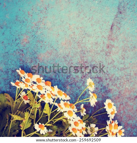 Summer background with field of daisy flowers/ Summer daisy flowers on vintage wooden background