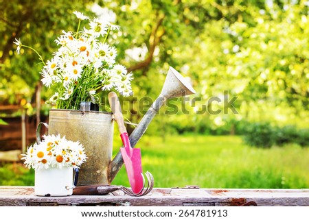 Outdoor gardening tools and daisy flowers/ Spring Gardening tools on beautiful garden background
