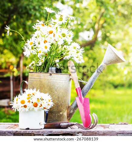Outdoor gardening tools and daisy flowers/ Spring Gardening tools on beautiful garden background