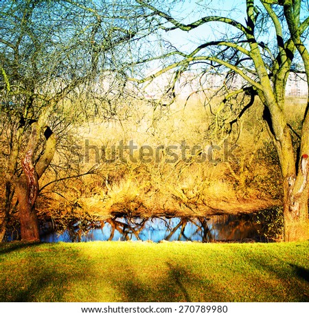 Spring nature background with sun beam / green landscape with sunshine/ Sunny forest early in the morning