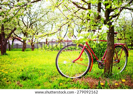 Vintage bicycle waiting near tree against spring nature background
