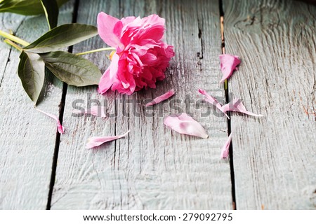 Romantic floral frame background/ Valentines day background/Pink peony on wooden background
