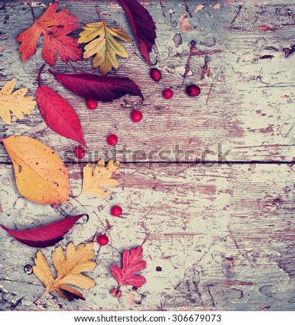 Autumn background/ Autumn leaves and berry as a heart over wooden background/Thanksgiving day concept