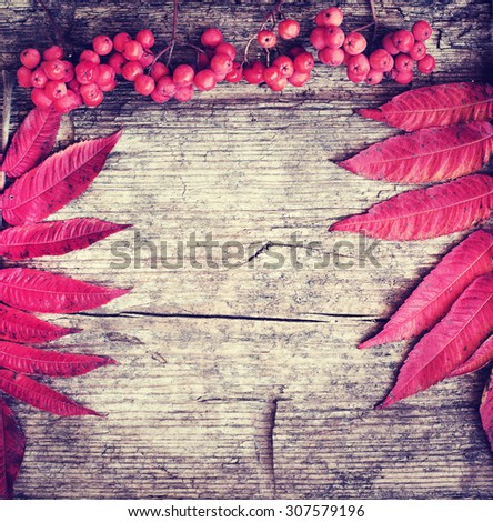 Autumn background/Autumn leaves and berry over wooden background/Thanksgiving day concept