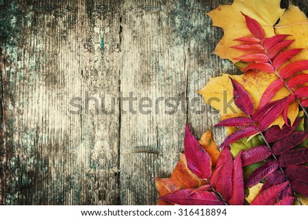 Autumn background/Autumn leaves over wooden background/Thanksgiving day concept