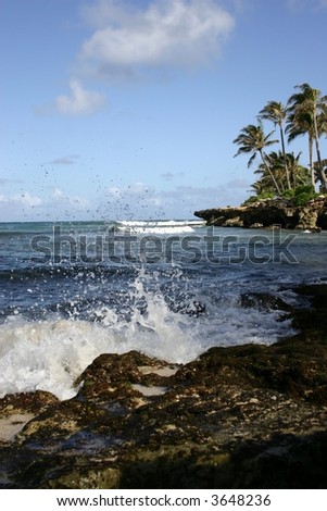 Hawaii Rocky Surf