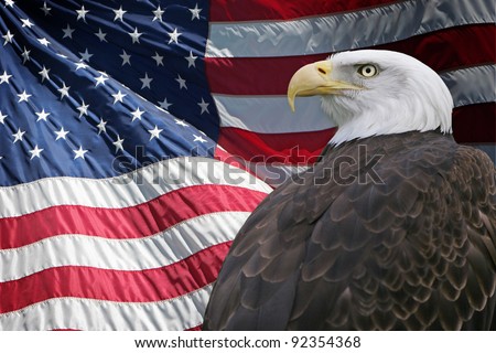 A proud Bald Eagle in front of the American Flag