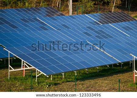 Farm of eco electric energy