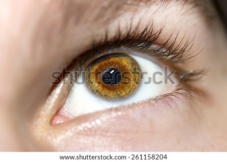 Image of man\'s brown eye close up.