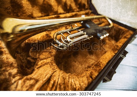 Gold trumpet in case