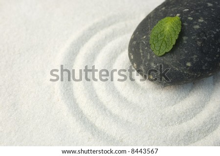 Black stone and green leaf on raked white sand of a zen garden. Symbol of life and meditation.