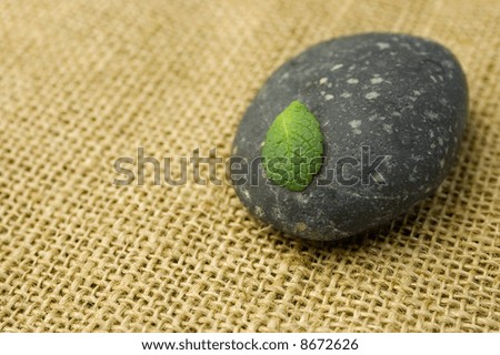 Green leaf on a black stone on a burlap texture. Zen symbol of life and meditation.