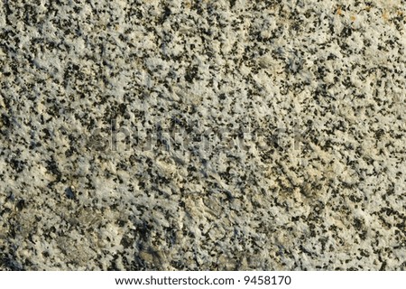 Detail of a variegated black and white granite stone, great background
