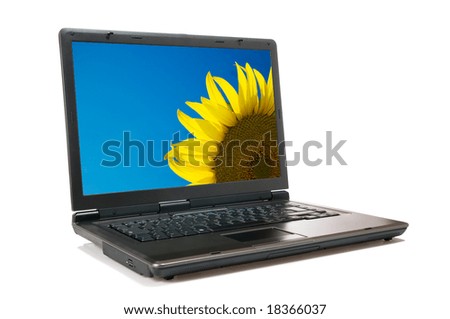 wallpaper for laptop background. stock photo : Single modern laptop with a sunflower wallpaper isolated on 