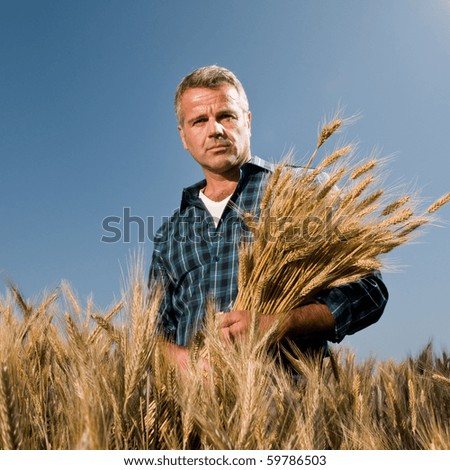 Satisfied mature farmer looking at camera with a bunch of ripe wheat after a working day