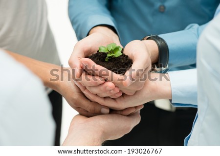 Closeup Of Businesspeople Hand Holding Plant Together