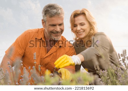 Portrait Of Happy Mature Couple Gardening Together In The Field
