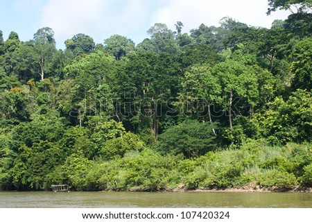 View to the beginning of the oldest rainforest in the world Taman Negara National Park