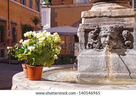 Small fountain with a flower seen in the center of Rome