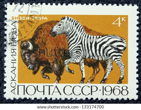 USSR - CIRCA 1968: A stamp printed in the USSR, shows european bison and zebra, circa 1968