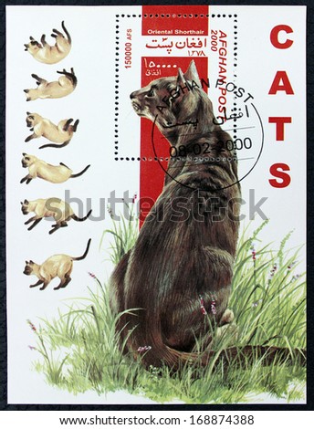 AFGHANISTAN - CIRCA 2000: A stamp printed in the Afghanistan, shows the cat, circa 2000