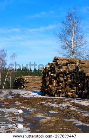 Harvesting timber logs in a forest in Russia in winter