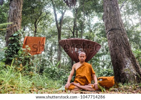 Monk stay meditation in deep forest under tree