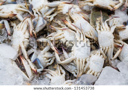 white crabs in ice for sale in market