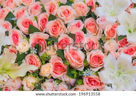 Pink natural roses background, Romance