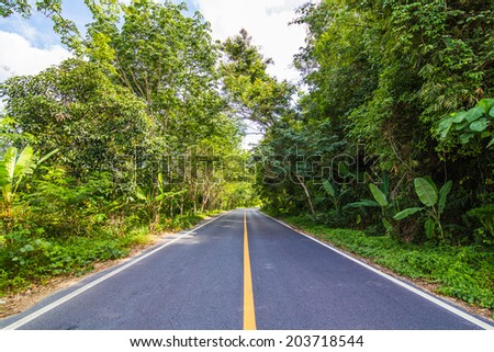 The rural paved road in the forest, road in southern of Thailand