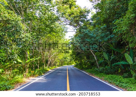 The rural paved road in the forest, road in southern of Thailand