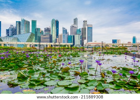 Singapore skyline of business district and Marina Bay in day, foreground with lotus pond