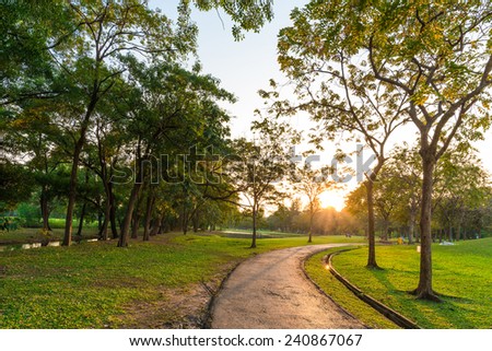 Peaceful park in the city with sun light, summer park road