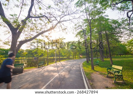 Pedestrian walkway for exercise in park with beautiful tall trees
