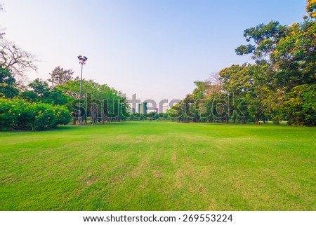 Park and recreation area in the city with tree and green lawn